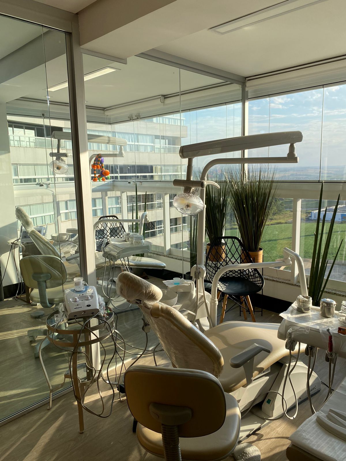 Rosemary Carneiro De Sá-20