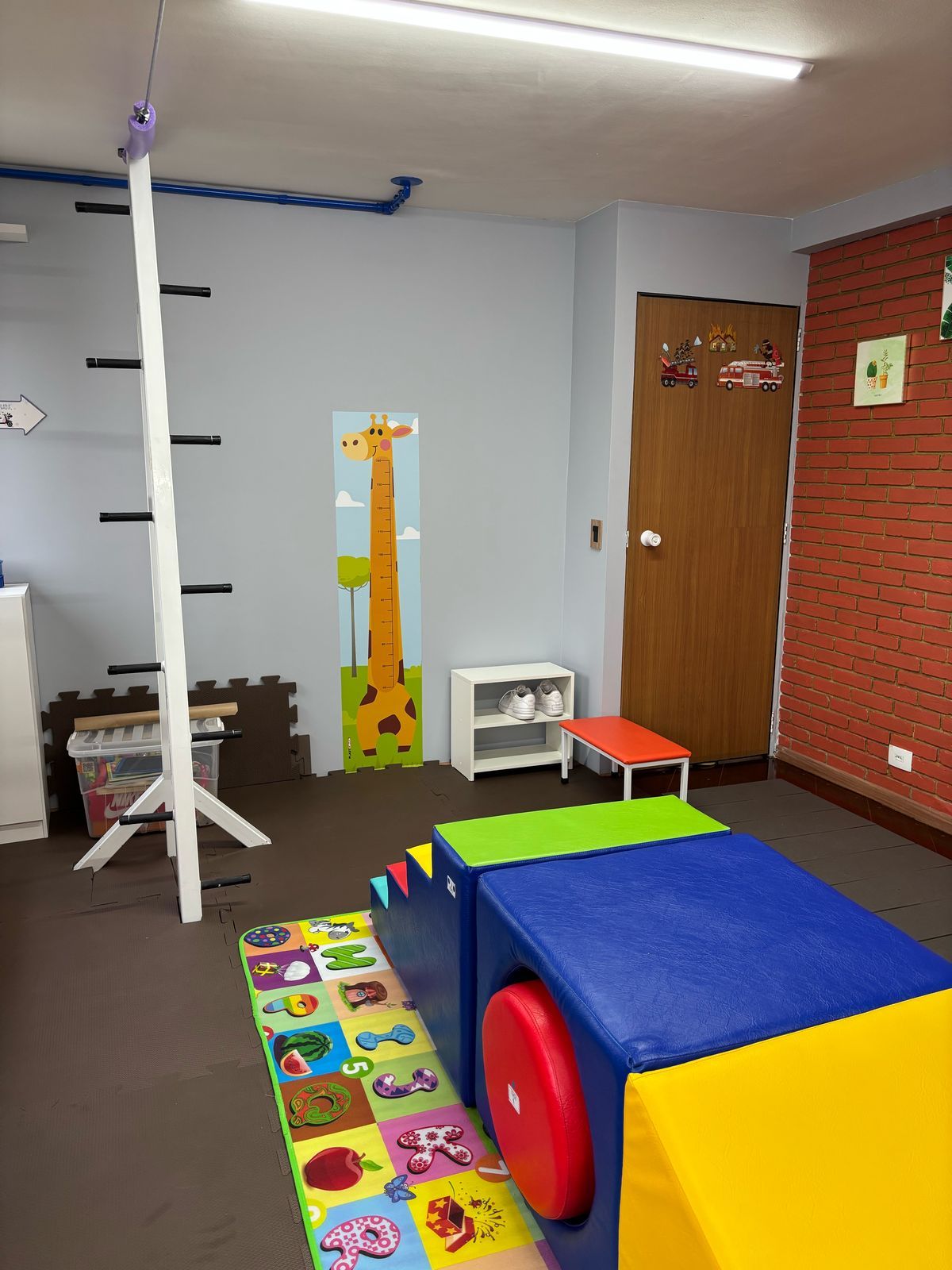 Aline França Rodriguez Loira-4