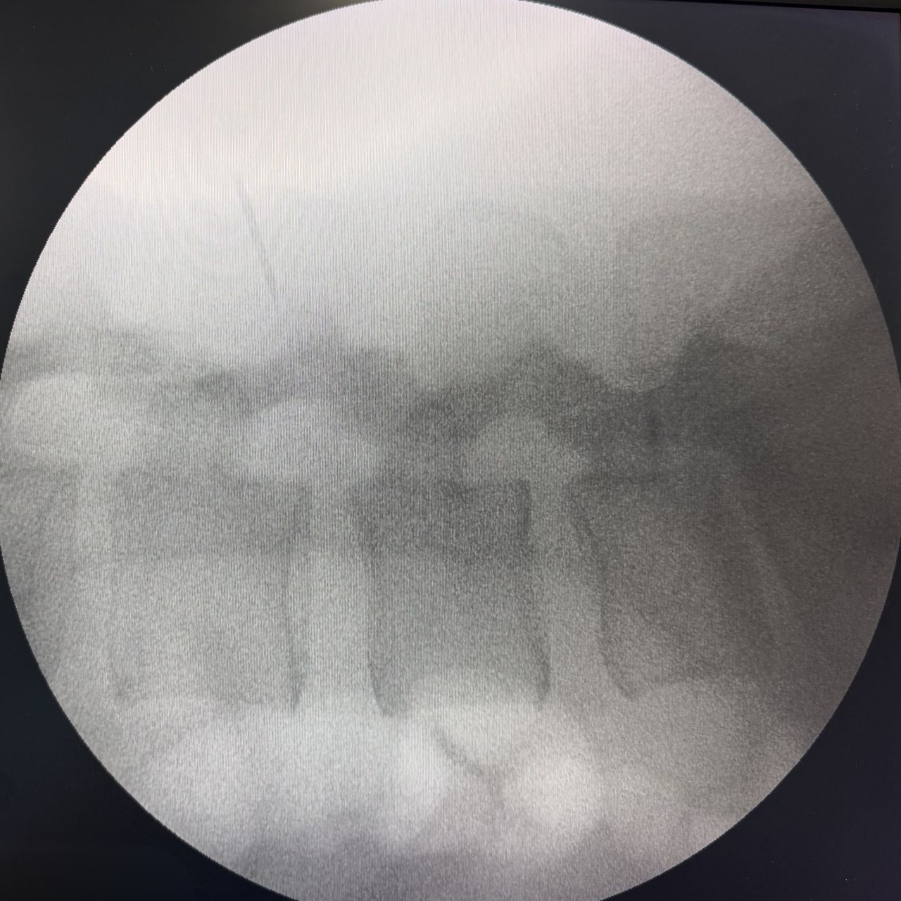 David Tafur Muñoz-2446