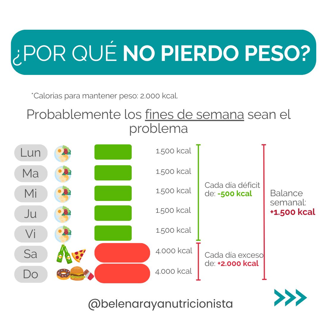 Belén Araya Inostroza-14