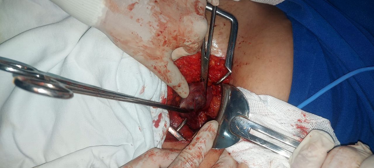 Renata Wanderley Nogueira-7