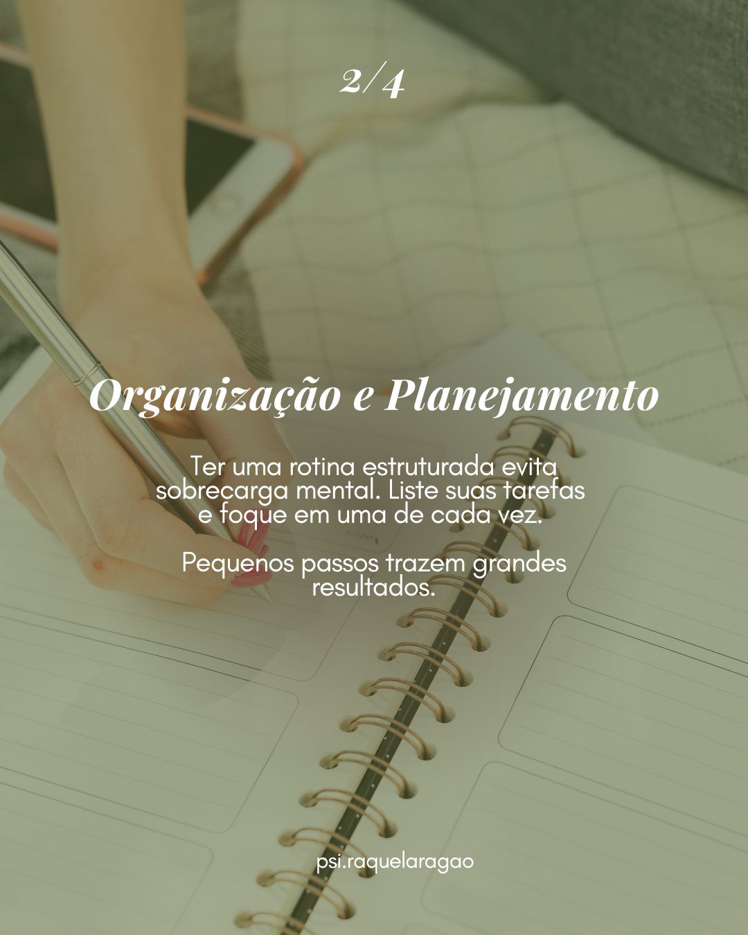 Antônia Raquel Ribeiro Aragão-2