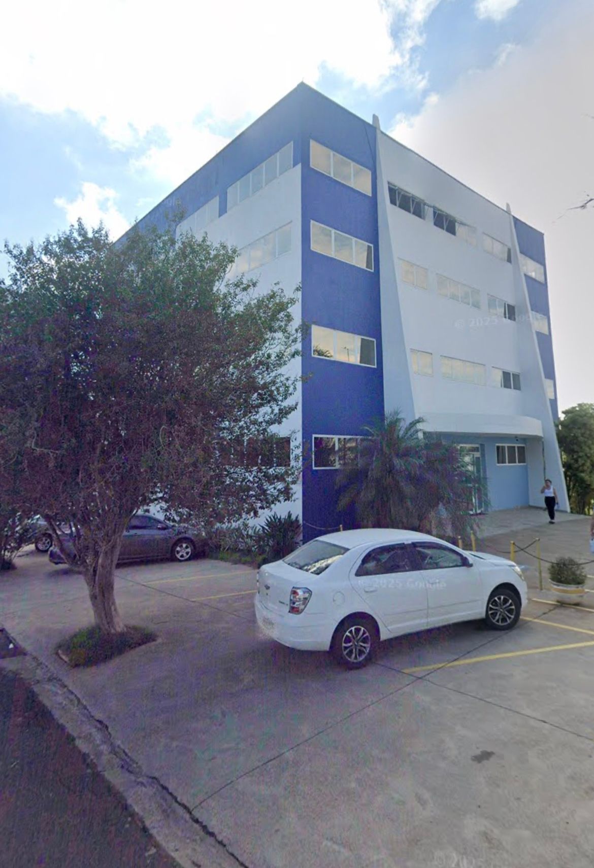 Plinio De Almeida Martins De Souza-2