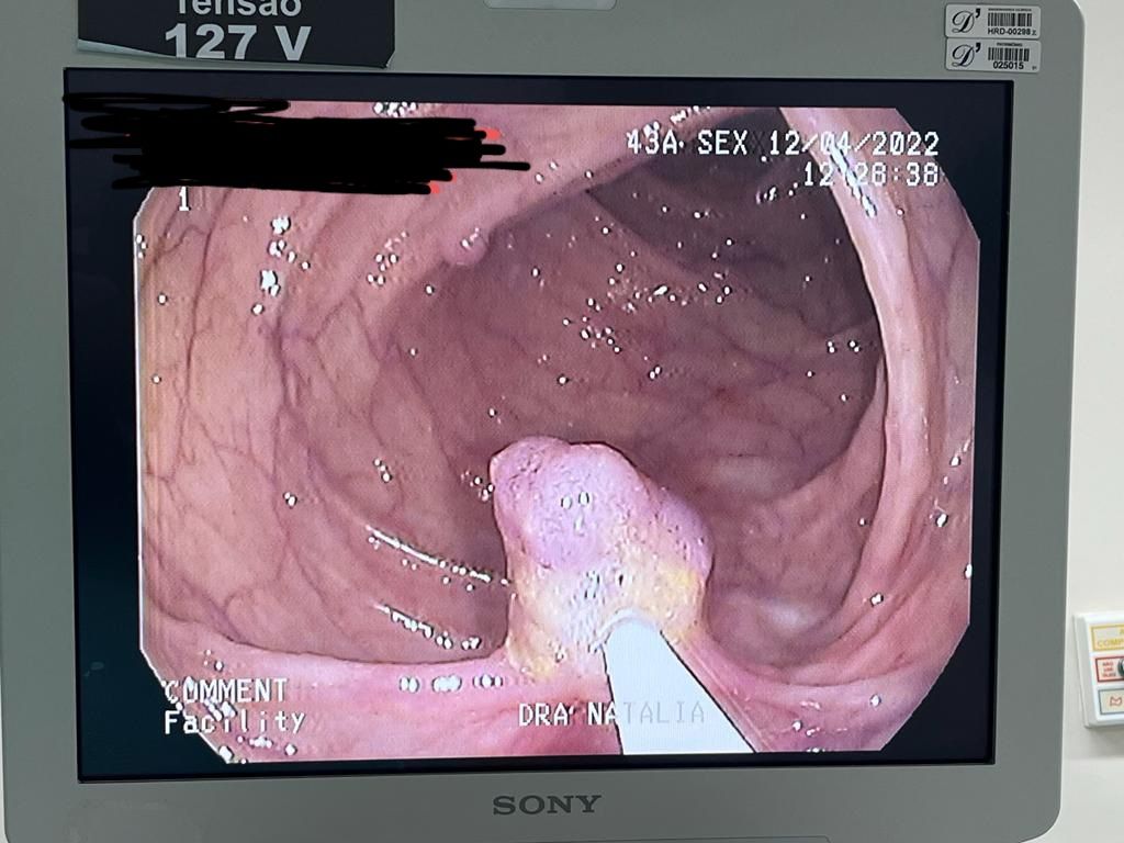 Natália Castro Vicente Tebet-11