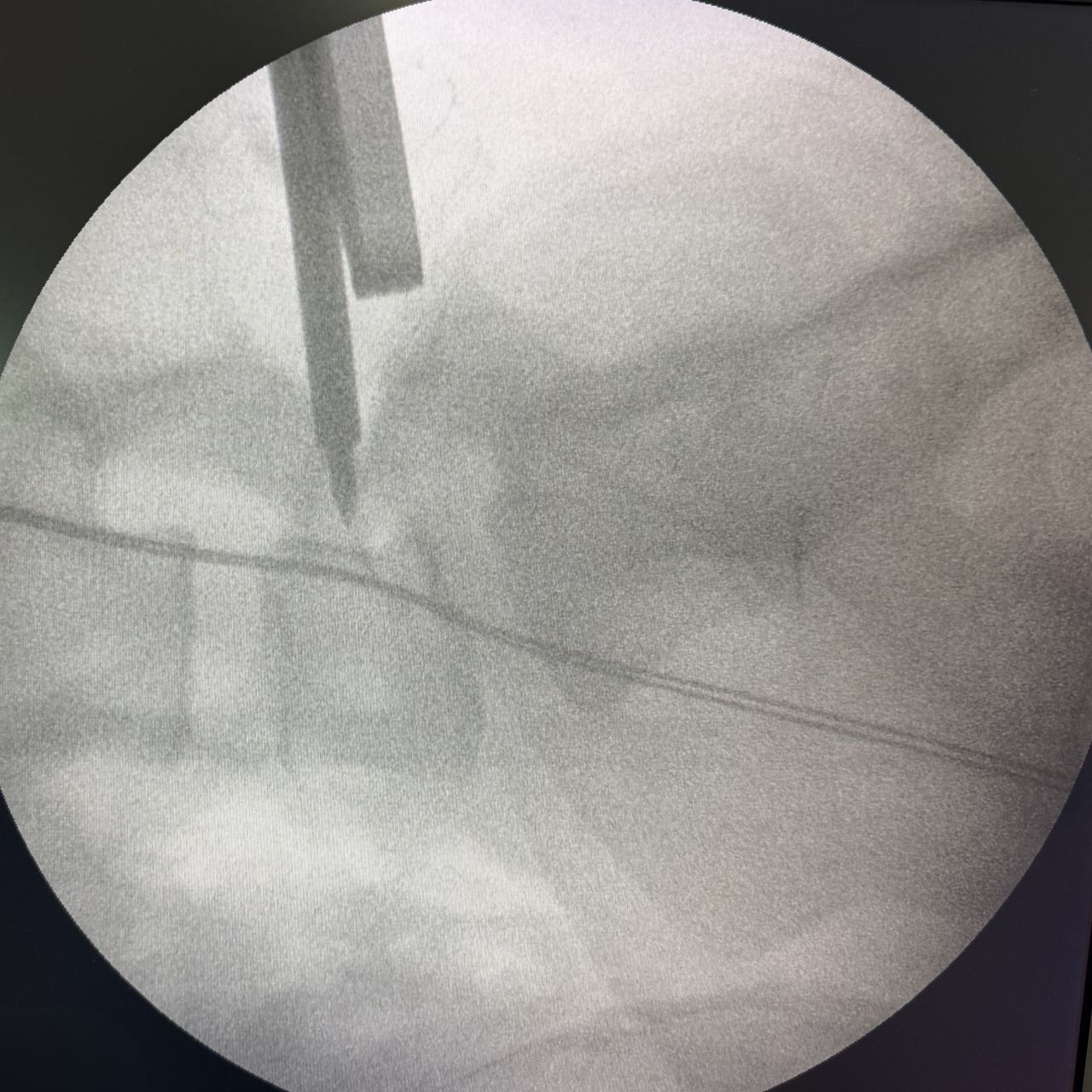 David Tafur Muñoz-2385