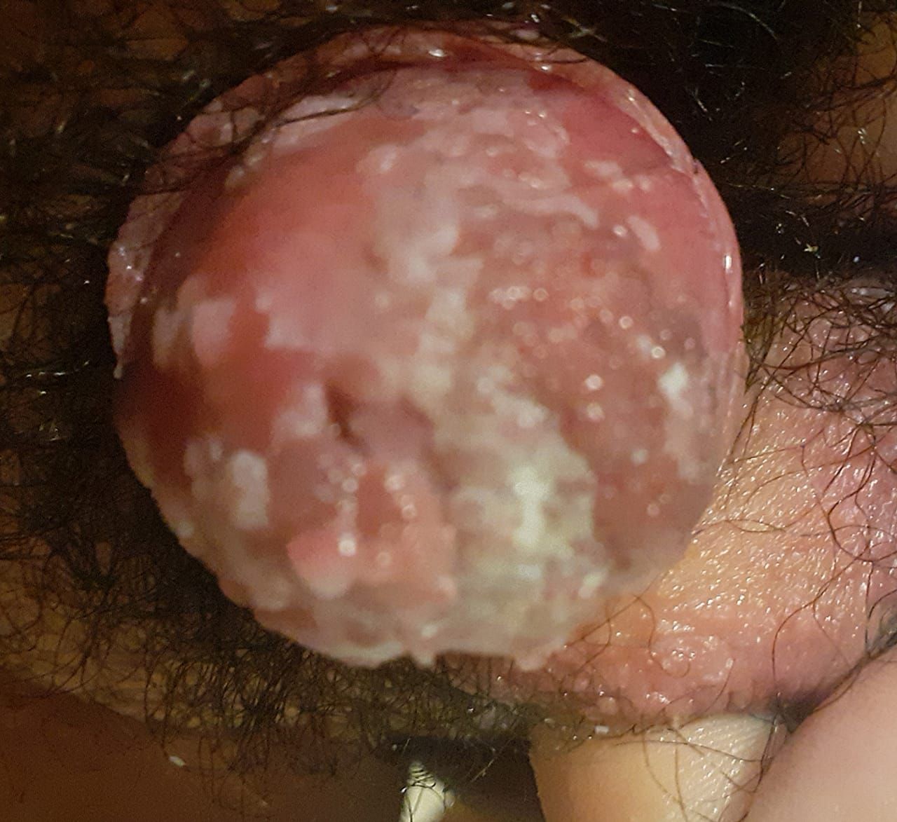 Raúl Federico Larcade-14