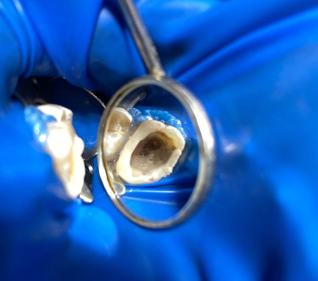 Clara Melo Alberto-0