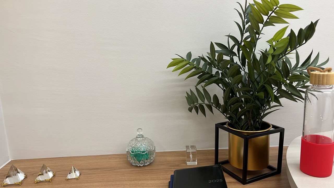 Ilzeni De Paula Bruscato Francisco Alves-7