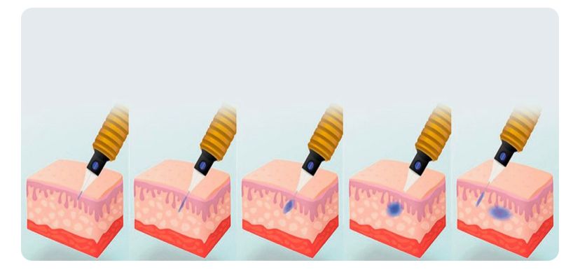 Sirley Andréia Amaral Tonussi-4