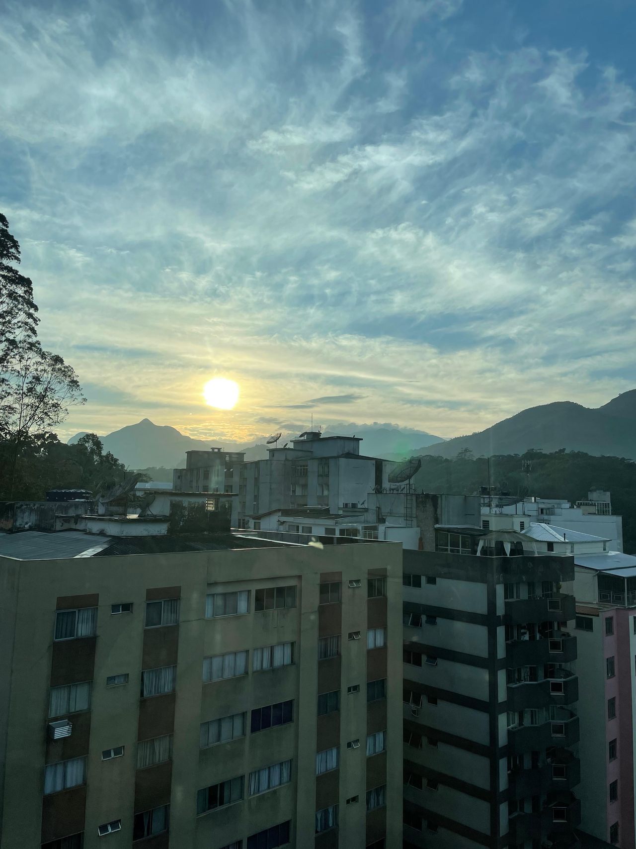 Angélica De Fátima Ribeiro Tavares Da Silva-9