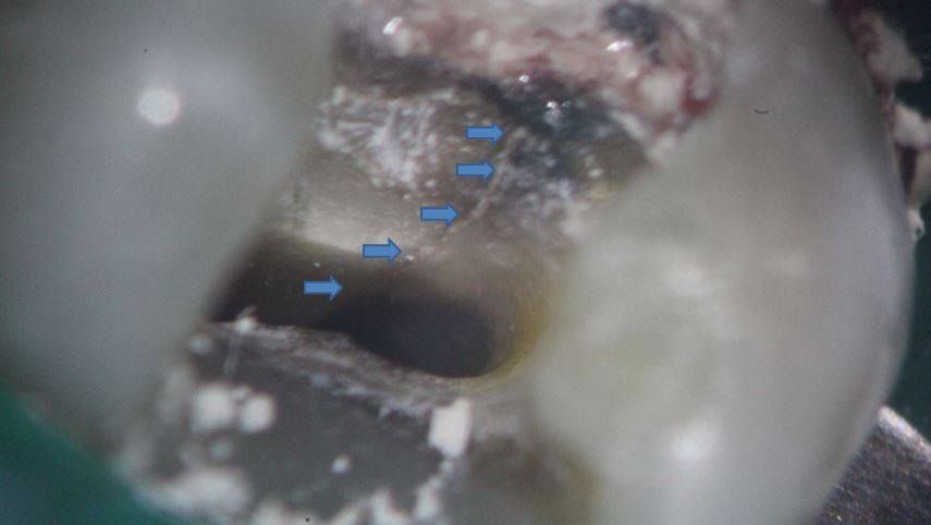 Andréa Longoni Fredrich-6