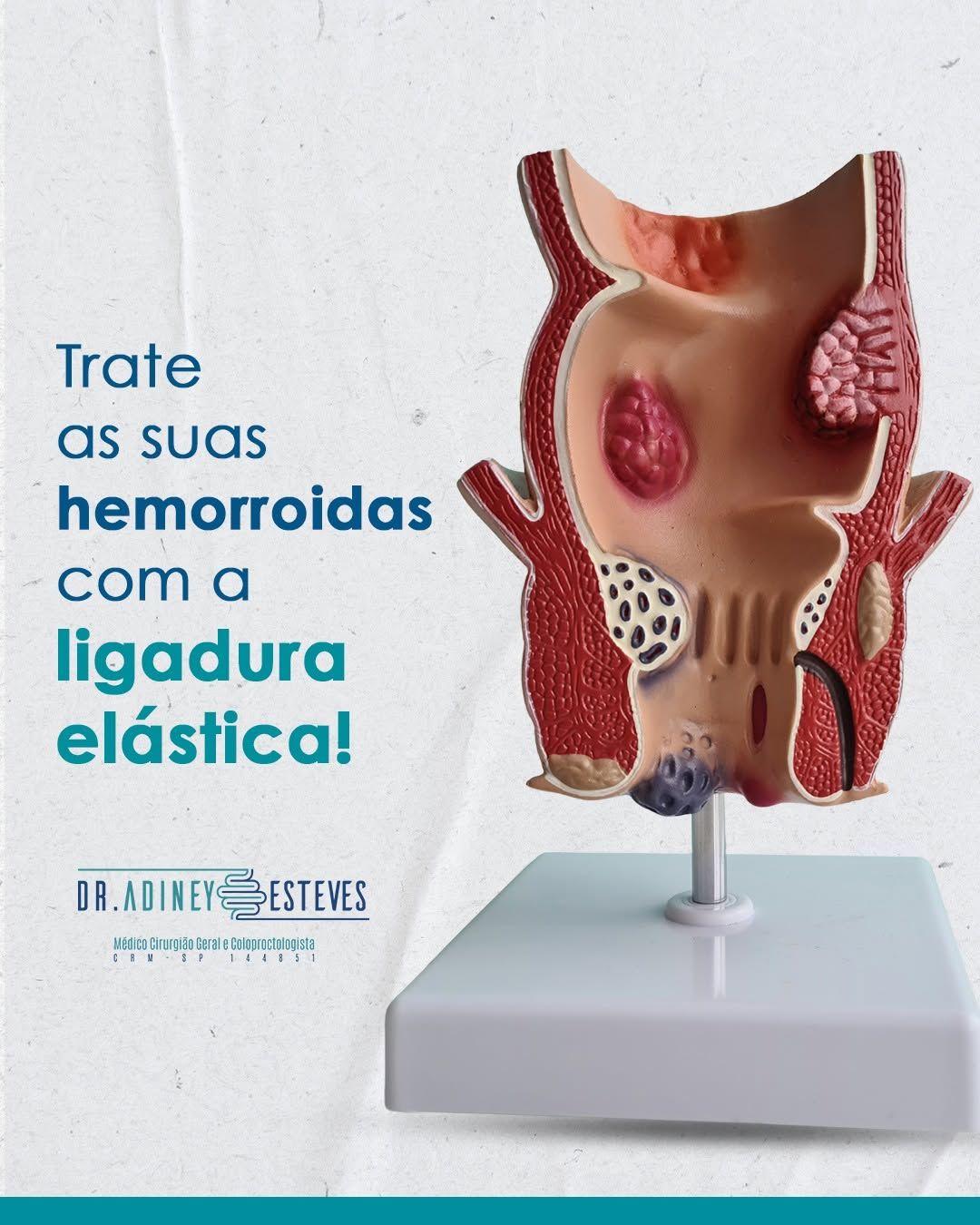 Adiney Ferreira Esteves-3