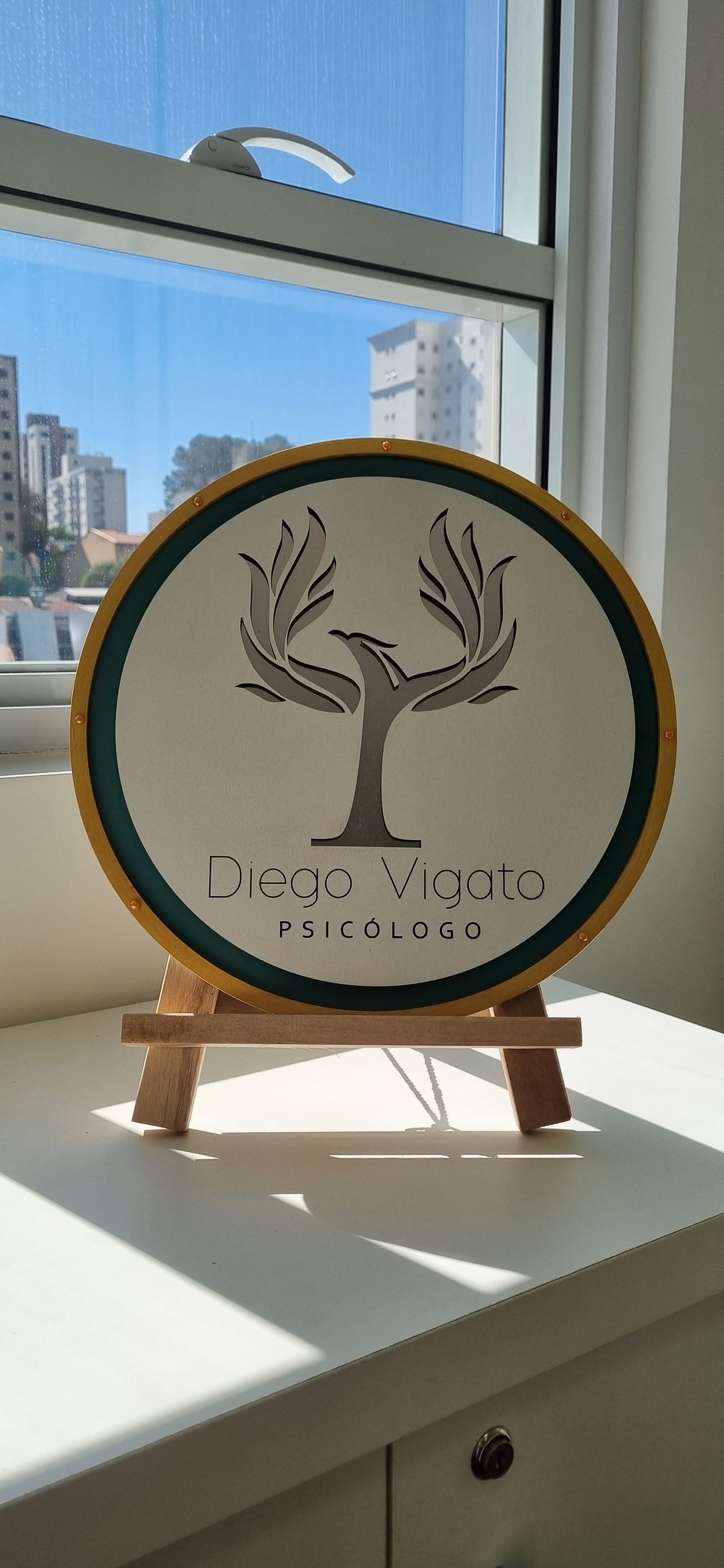 Diego Santos Vigato-6