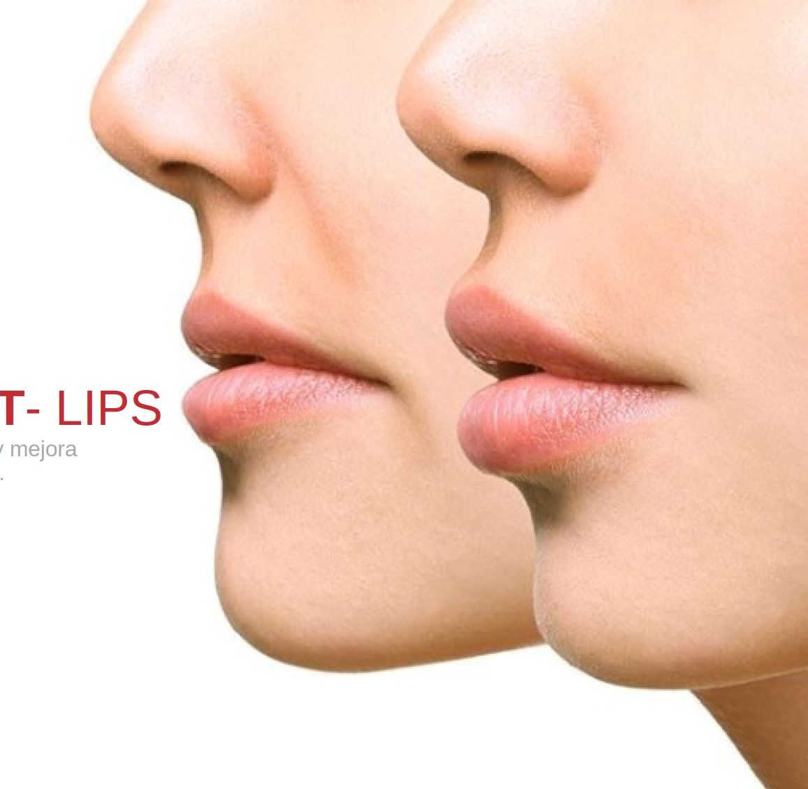 Erika Concha Troncoso-12