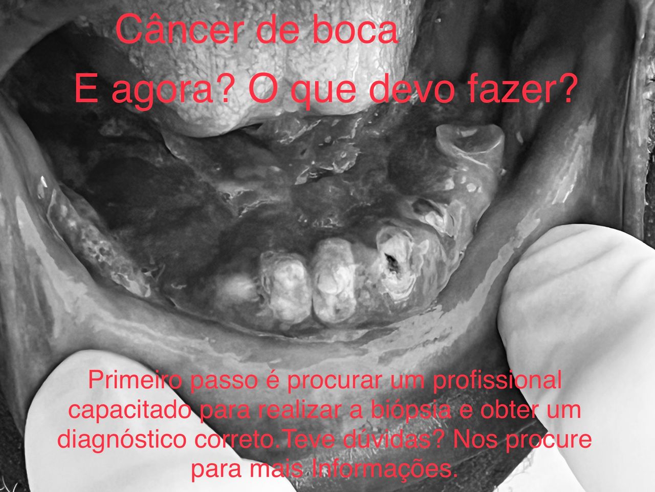 Fernanda Carneiro Pinto-1