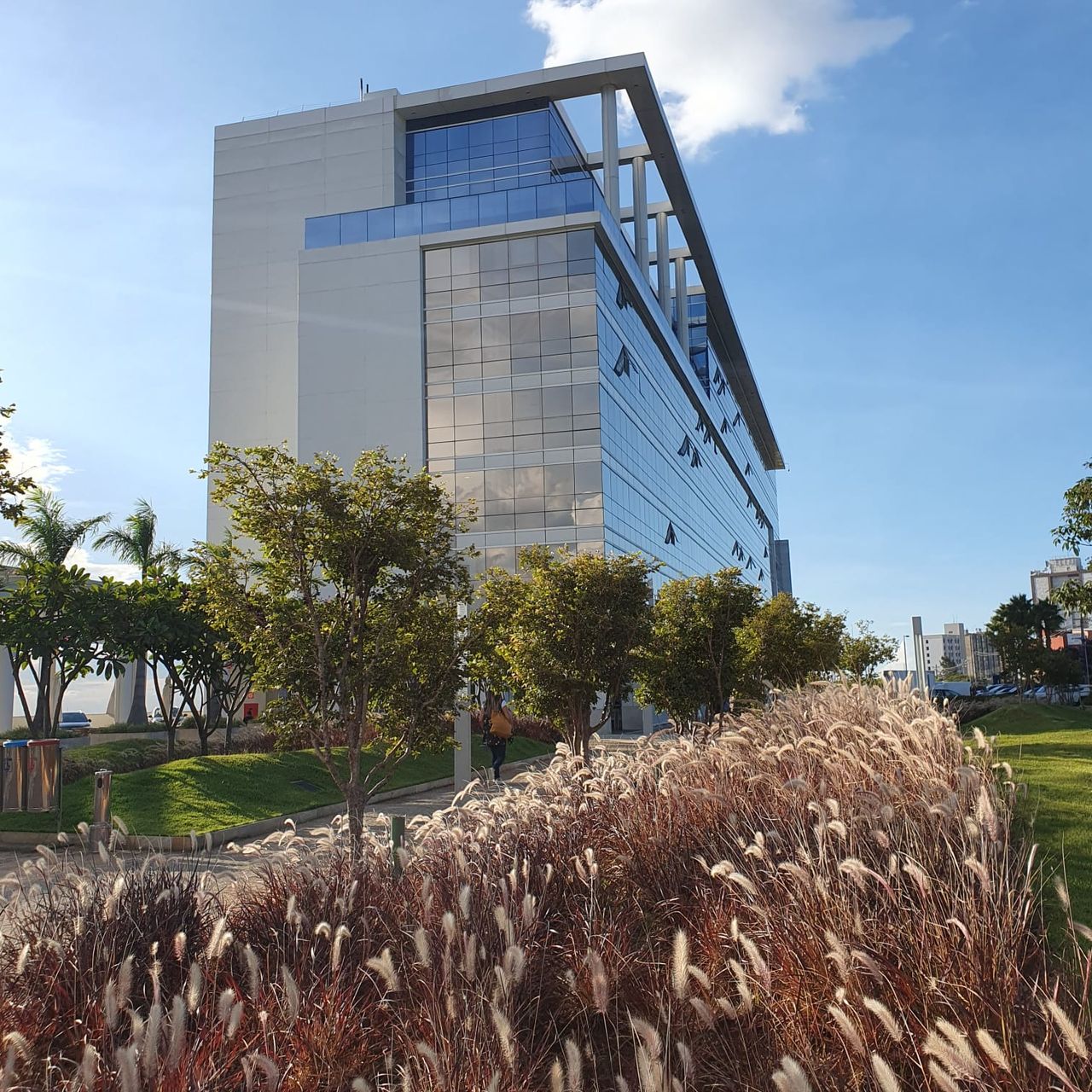 Sebastião Arli Borba Da Silva Junior-6