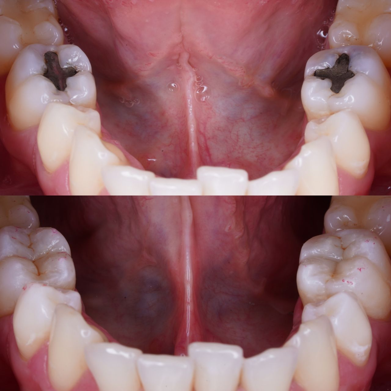 Javier Garrido Tirado-6