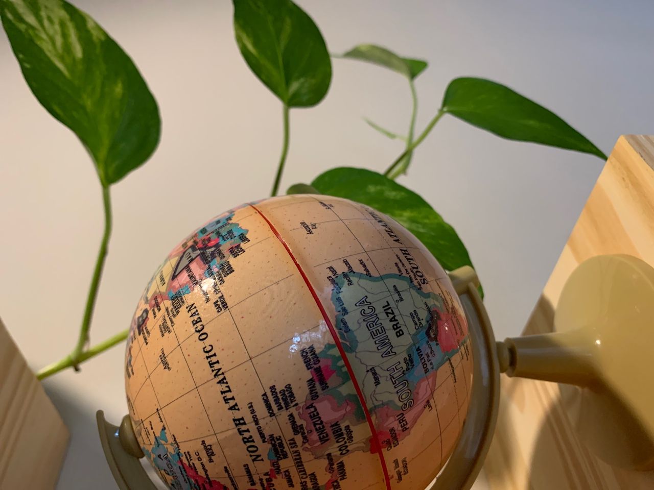 Ana Flavia Santana-0