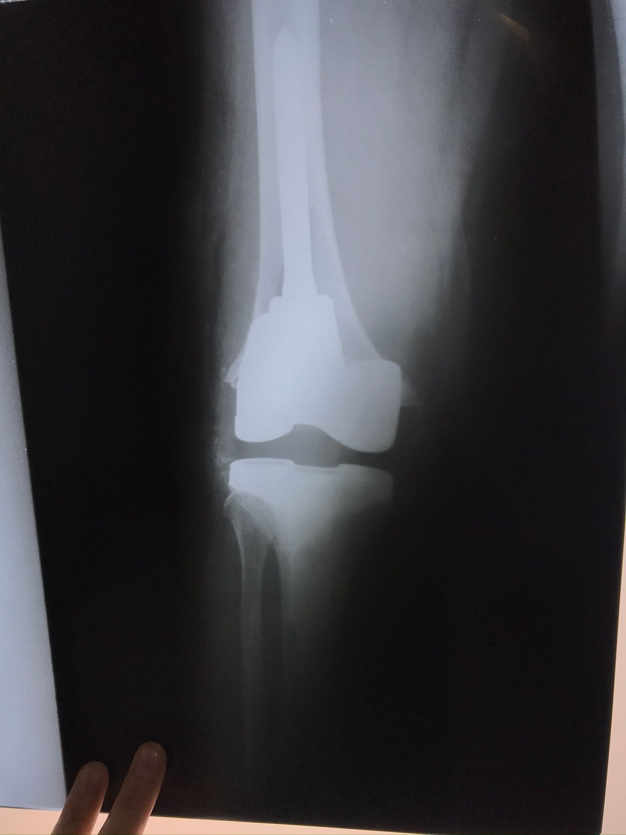 Eduardo Ramalho De Moraes-15