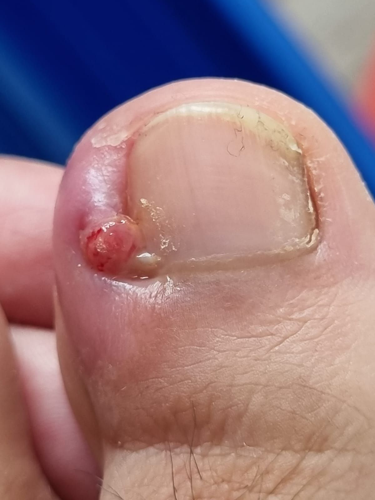 S.patricia Gajardo-6