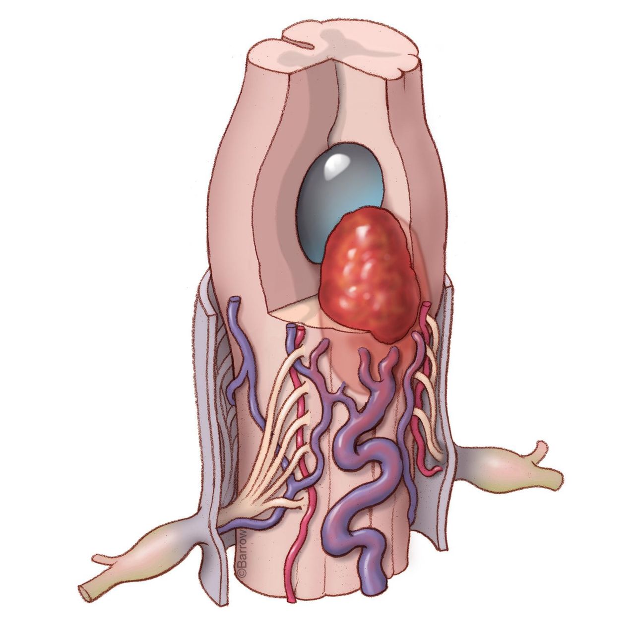David Tafur Muñoz-1276