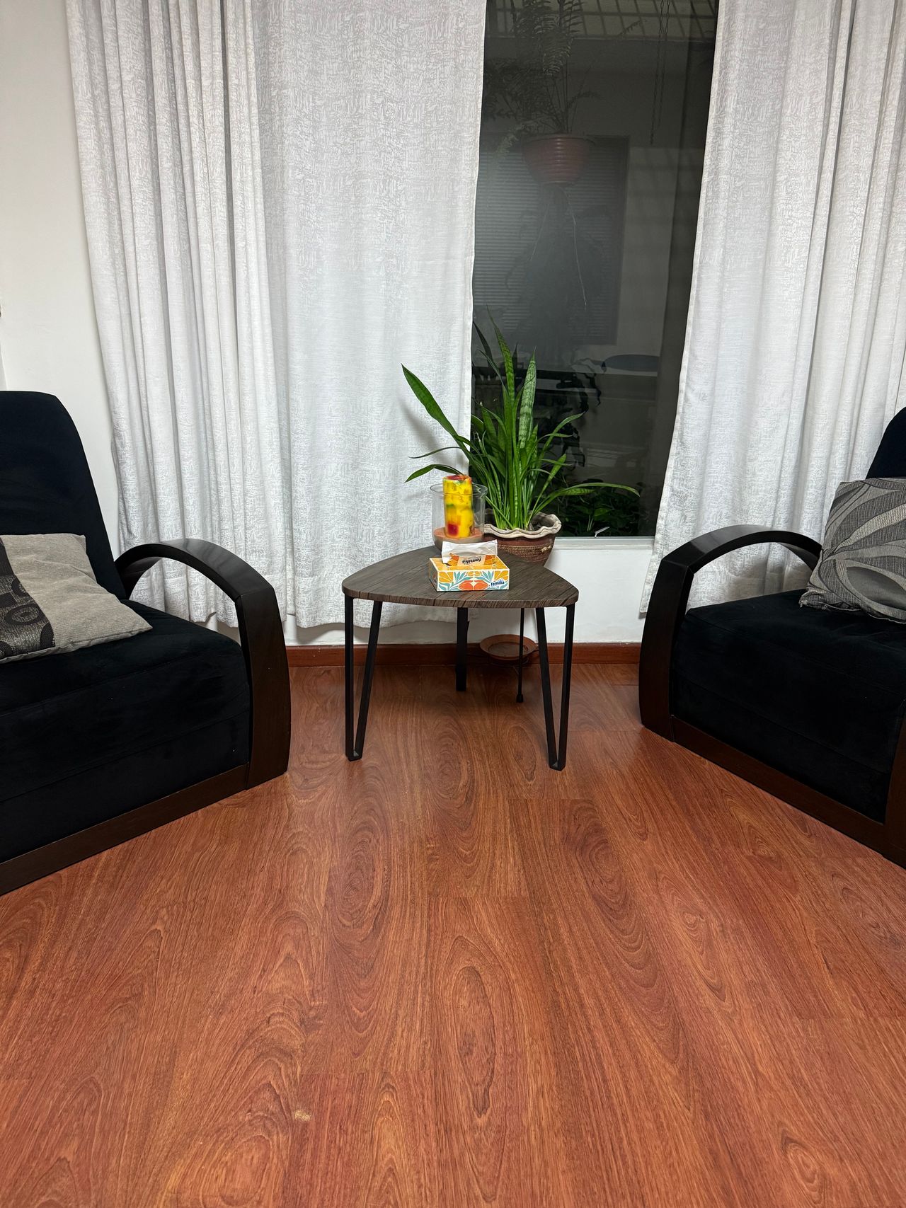 Veronica Ruiz Varon-4