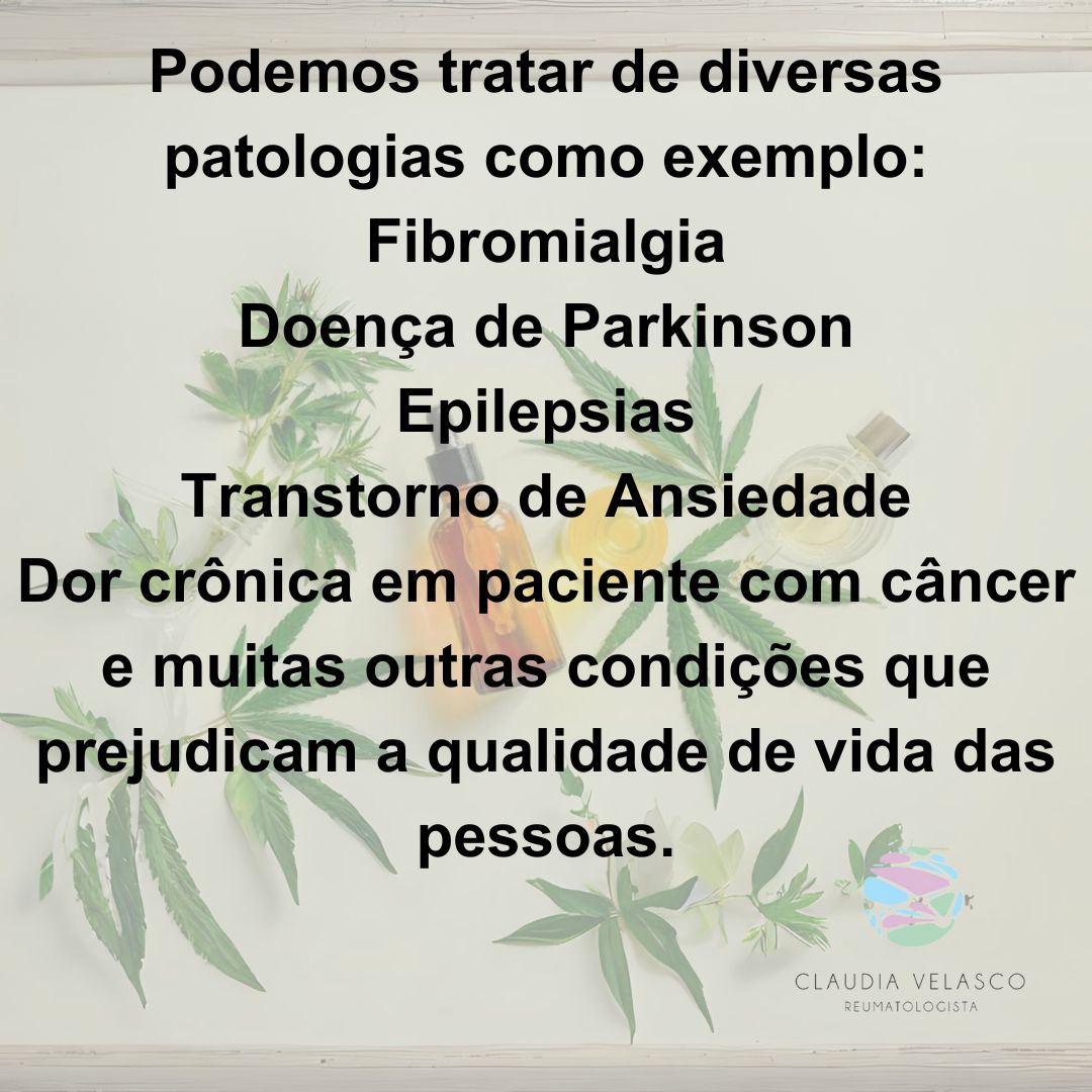 Claudia Rodrigues De Velasco-7