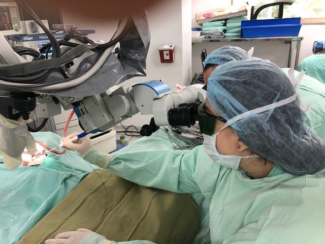 Monica Ladino Duran-4