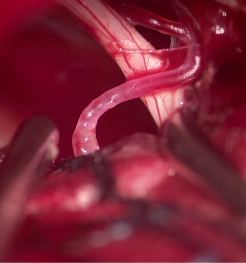 David Tafur Muñoz-2281