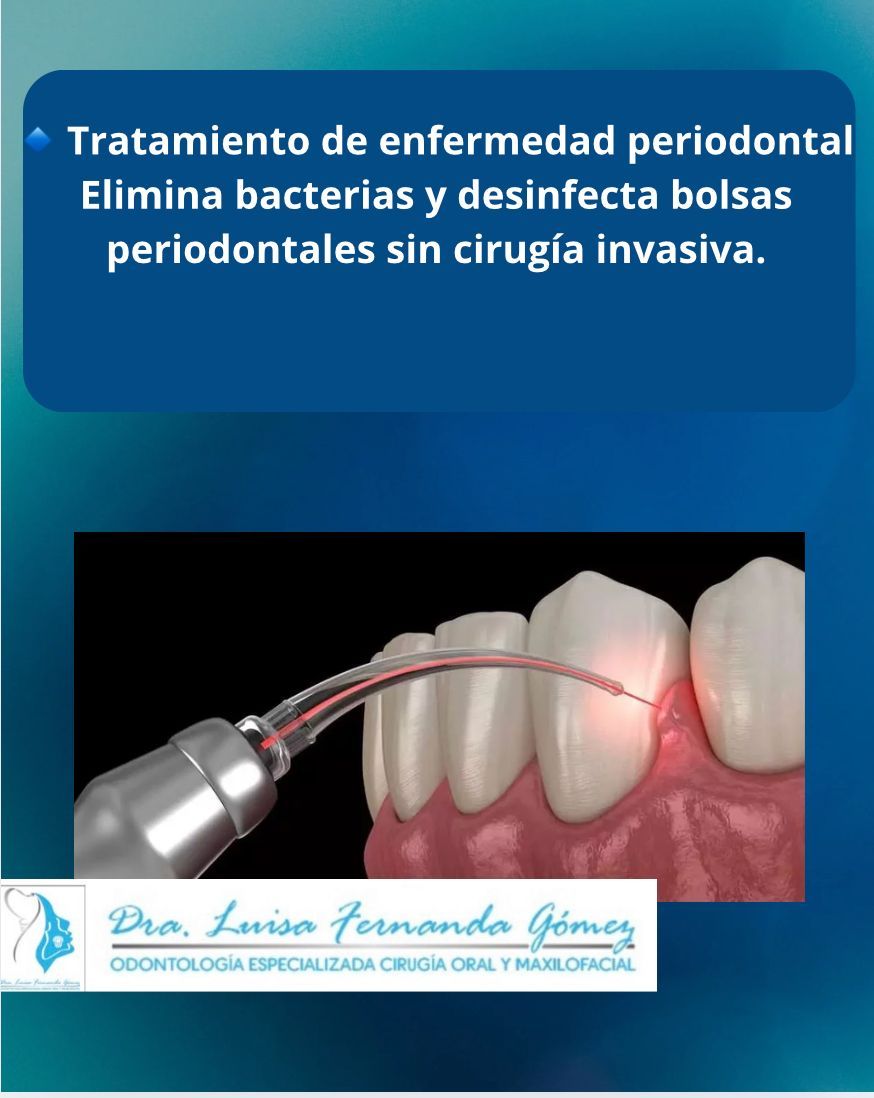 Luisa Fernanda Gomez Reyes-33