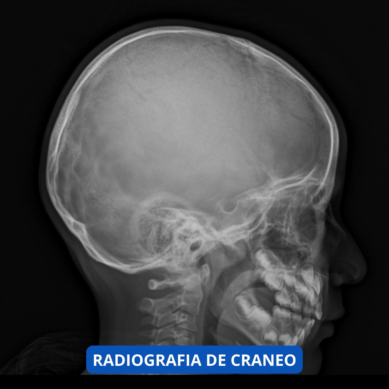 David Tafur Muñoz-1714