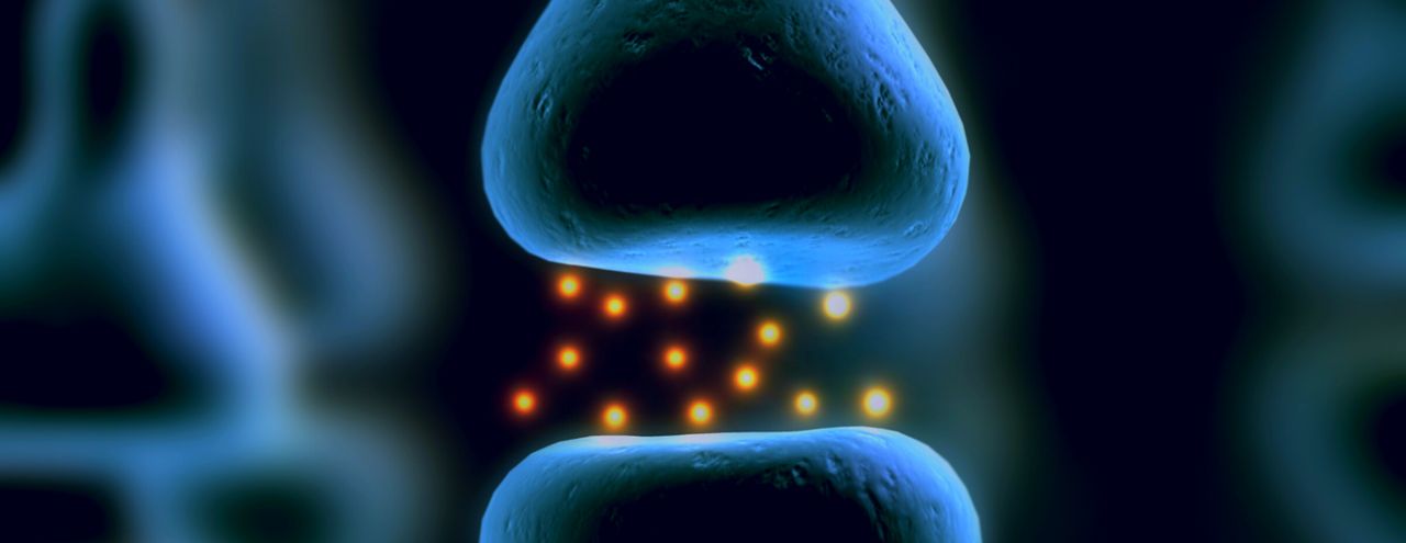 Vânia Correia Vide-3