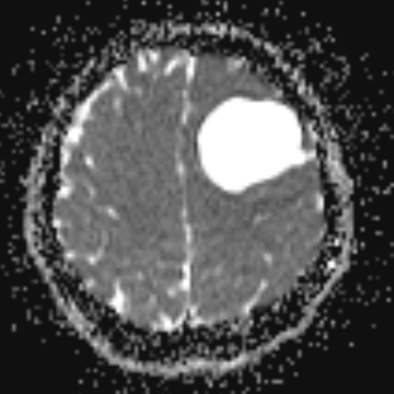 David Tafur Muñoz-1879