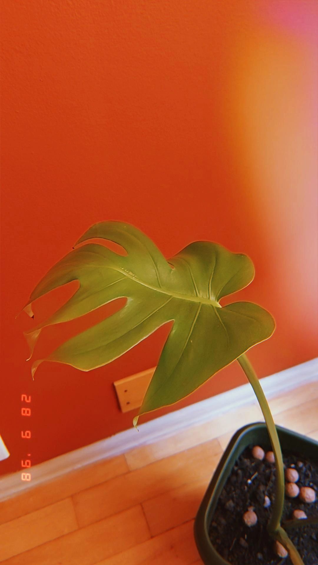 Hélène Sperandio-7