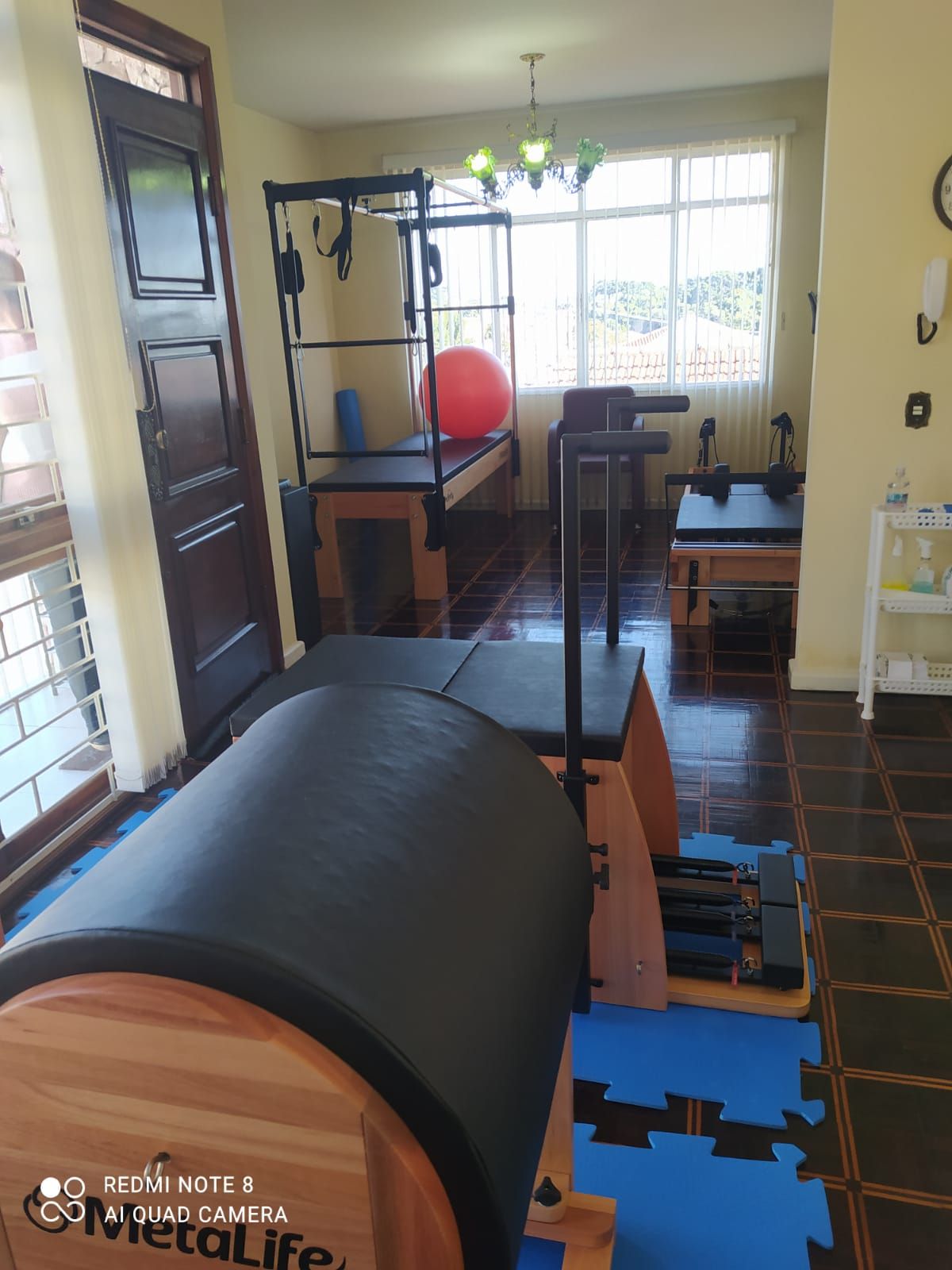 Célia Regina Fróes-5