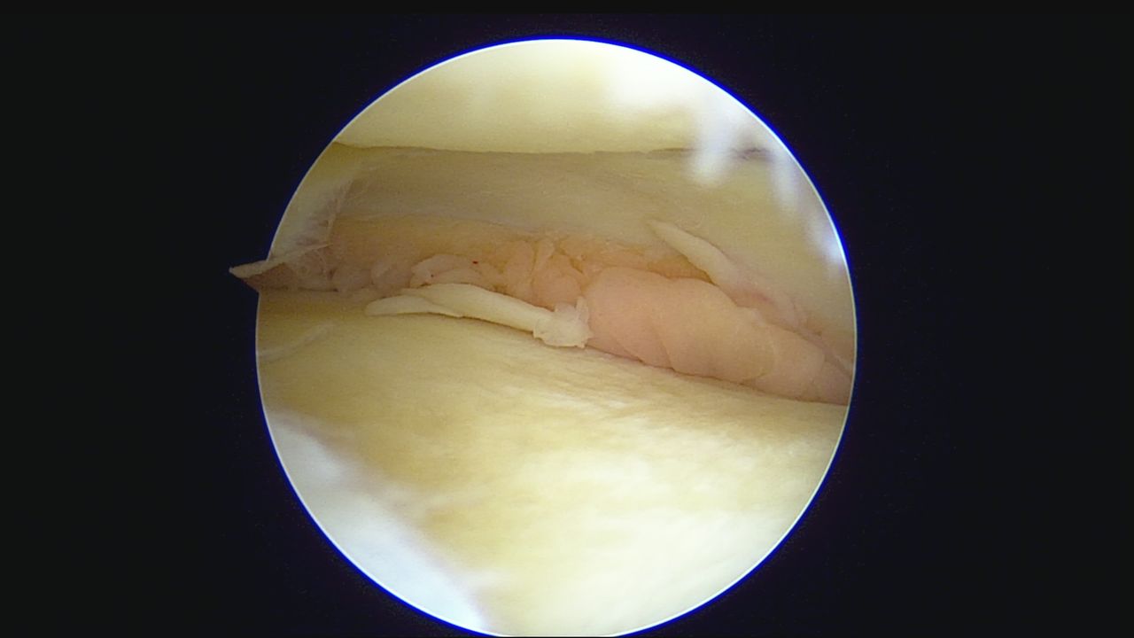 Alexandre Terruggi Jr-23