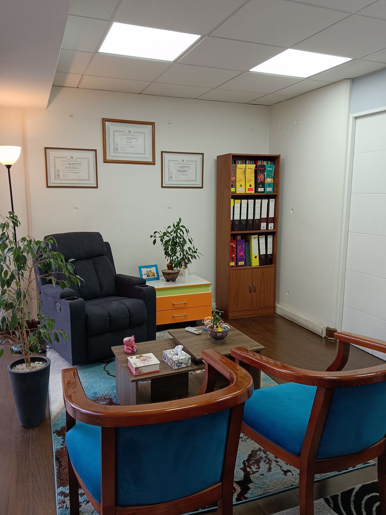 Viviana Moya Navarro-1