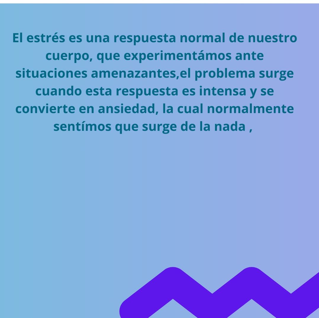 Liliana Isabel Castillo Castillo-9