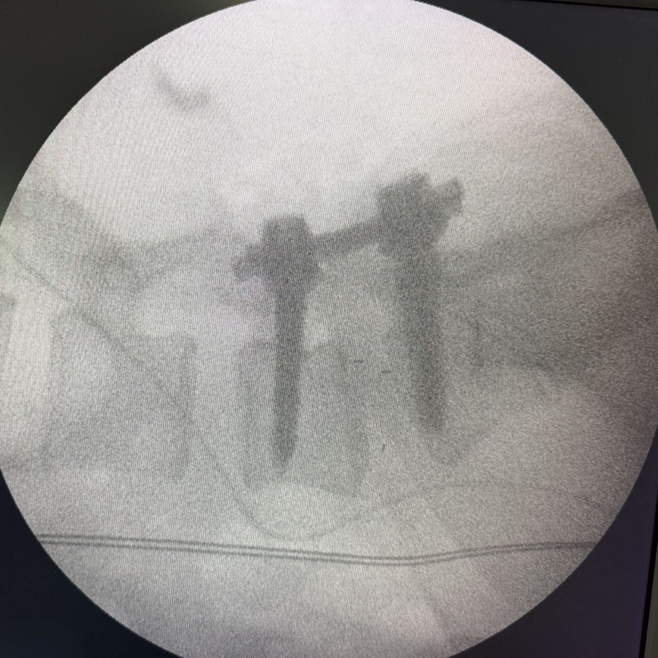 David Tafur Muñoz-2383