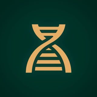 Elevart Health Clinic Alphaville | Emagrecimento e Performance