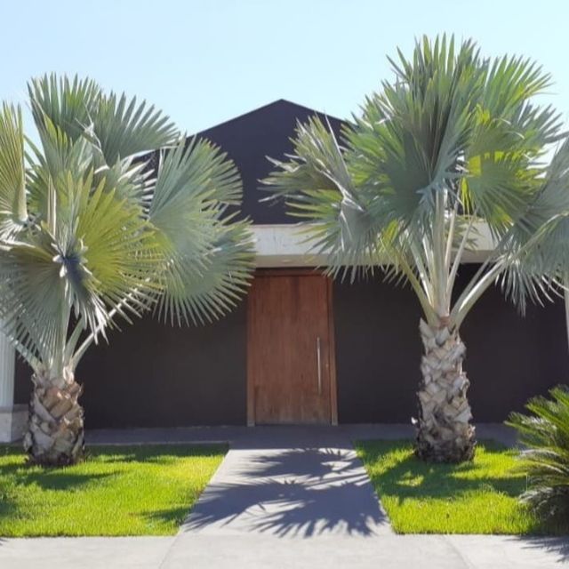 CLÍNICA VITAEIlha Solteira - 