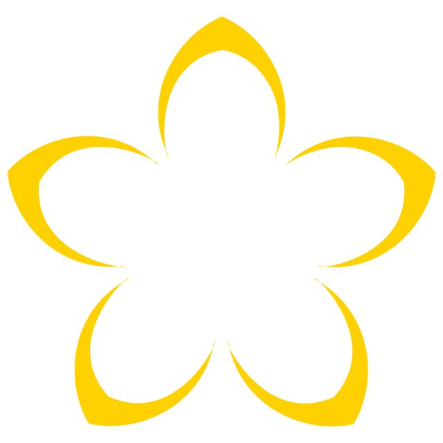 ALLAMANDA SAÚDEManaus - 