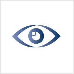 Instituto da Visão Sergey Cusato JrSão Paulo - 