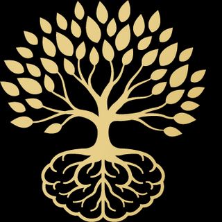 Instituto Flavio Rocha Neuroreabilitação