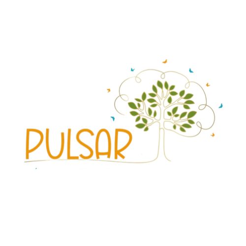 Pulsar - Núcleo de Desenvolvimento e AprendizagemGuarulhos - 