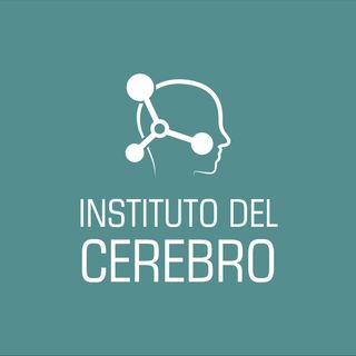 Instituto del Cerebro