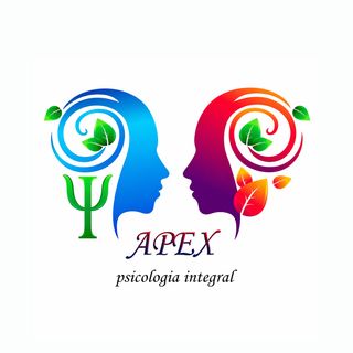 APEX PSICOLOGÍA INTEGRAL
