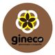 Gineco DF